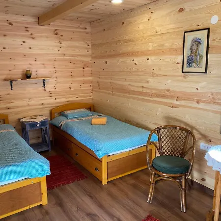 Brvnara Kraj Dunava Zelena Oaza Holiday home *