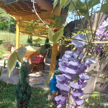 度假居 Brvnara Kraj Dunava Zelena Oaza